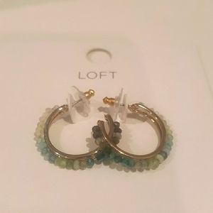 Green Loft Earnings